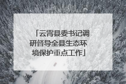 云霄县委书记调研督导全县生态环境保护重点工作