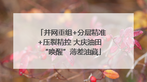井网重组+分层精准+压裂精控 大庆油田“唤醒”薄差油藏