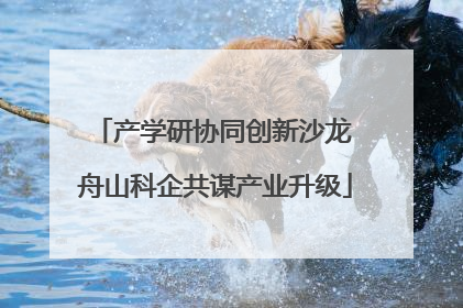 产学研协同创新沙龙 舟山科企共谋产业升级