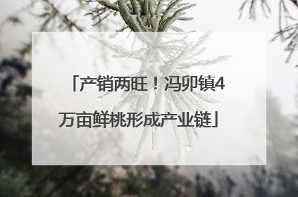 产销两旺！冯卯镇4万亩鲜桃形成产业链