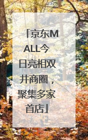 京东MALL今日亮相双井商圈，聚集多家首店