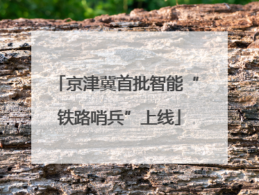 京津冀首批智能“铁路哨兵”上线