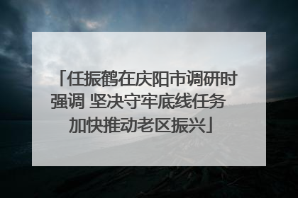 任振鹤在庆阳市调研时强调 坚决守牢底线任务 加快推动老区振兴