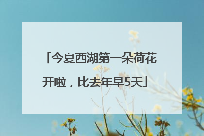 今夏西湖第一朵荷花开啦，比去年早5天