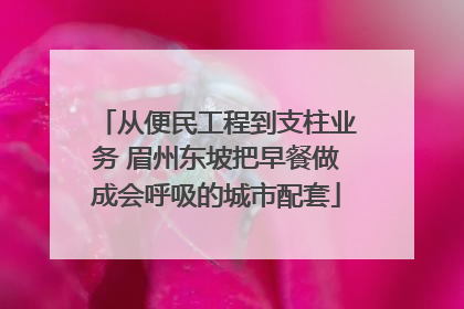 从便民工程到支柱业务 眉州东坡把早餐做成会呼吸的城市配套