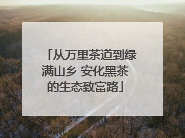 从万里茶道到绿满山乡 安化黑茶的生态致富路