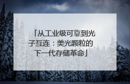 从工业级可靠到光子互连：美光颗粒的下一代存储革命
