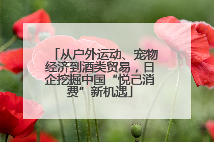 从户外运动、宠物经济到酒类贸易，日企挖掘中国“悦己消费”新机遇