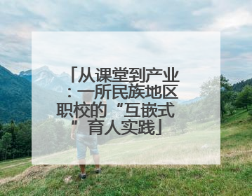 从课堂到产业：一所民族地区职校的“互嵌式”育人实践