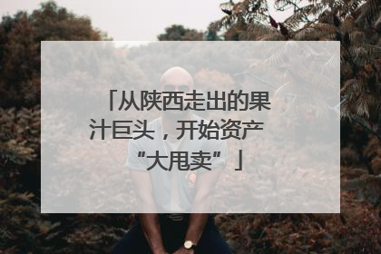 从陕西走出的果汁巨头，开始资产“大甩卖”