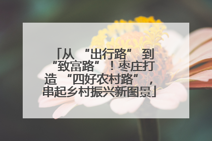 从 “出行路” 到 “致富路”！枣庄打造 “四好农村路”，串起乡村振兴新图景