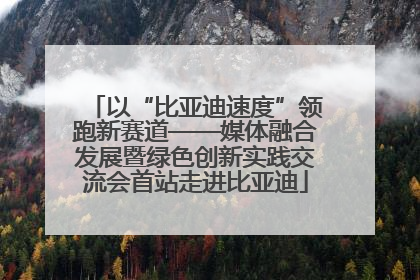 以“比亚迪速度”领跑新赛道——媒体融合发展暨绿色创新实践交流会首站走进比亚迪