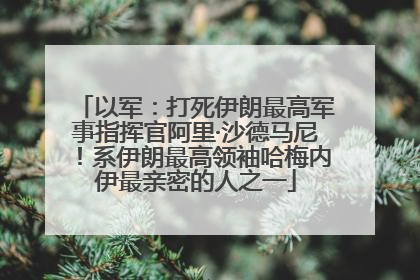 以军：打死伊朗最高军事指挥官阿里·沙德马尼！系伊朗最高领袖哈梅内伊最亲密的人之一