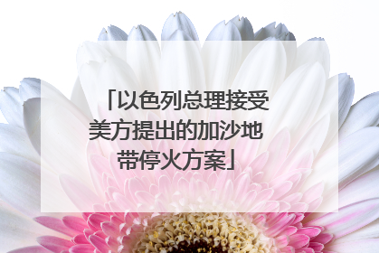 以色列总理接受美方提出的加沙地带停火方案