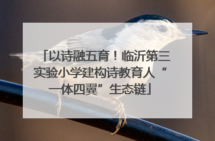 以诗融五育！临沂第三实验小学建构诗教育人“一体四翼”生态链