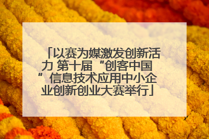 以赛为媒激发创新活力 第十届“创客中国”信息技术应用中小企业创新创业大赛举行