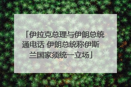 伊拉克总理与伊朗总统通电话 伊朗总统称伊斯兰国家须统一立场