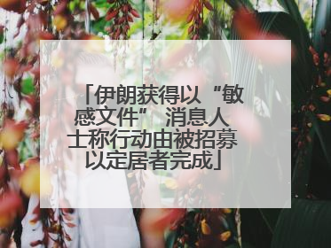 伊朗获得以“敏感文件” 消息人士称行动由被招募以定居者完成