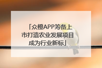众橙APP筹备上市打造农业发展项目成为行业新标