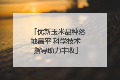 优新玉米品种落地昌平 科学技术指导助力丰收