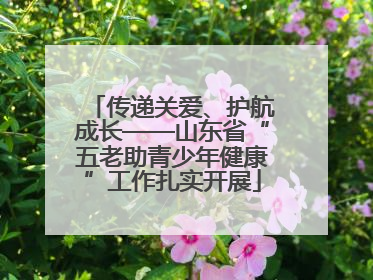 传递关爱、护航成长——山东省“五老助青少年健康”工作扎实开展