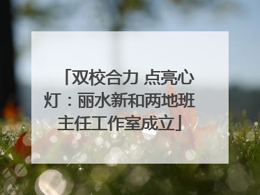 双校合力 点亮心灯：丽水新和两地班主任工作室成立