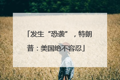 发生“恐袭”，特朗普：美国绝不容忍