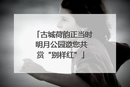古城荷韵正当时 明月公园邀您共赏“别样红”