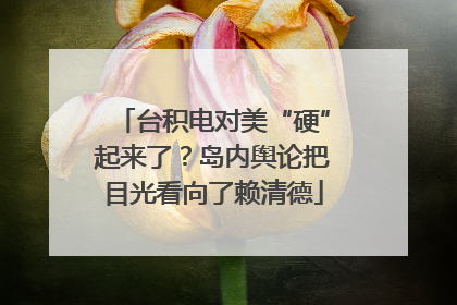 台积电对美“硬”起来了？岛内舆论把目光看向了赖清德