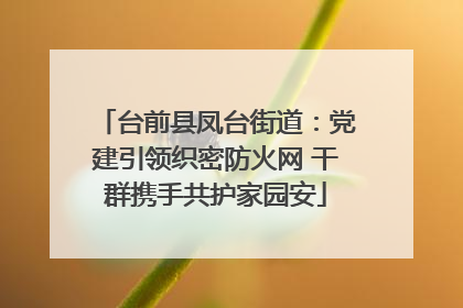 台前县凤台街道：党建引领织密防火网 干群携手共护家园安