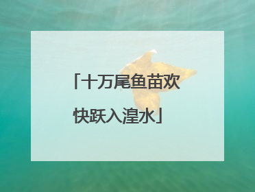 十万尾鱼苗欢快跃入湟水