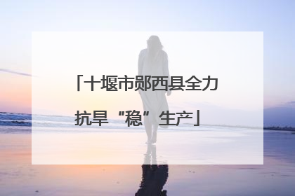十堰市郧西县全力抗旱“稳”生产