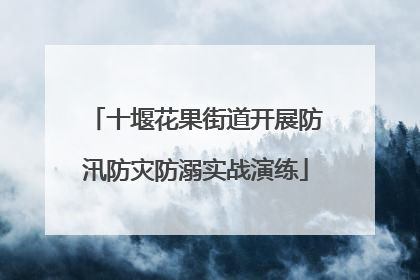 十堰花果街道开展防汛防灾防溺实战演练