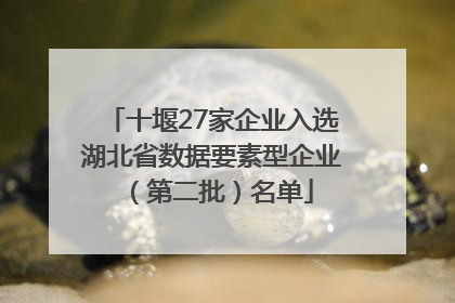 十堰27家企业入选湖北省数据要素型企业（第二批）名单