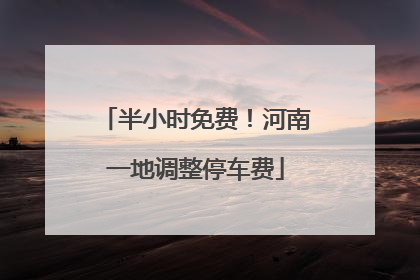 半小时免费！河南一地调整停车费