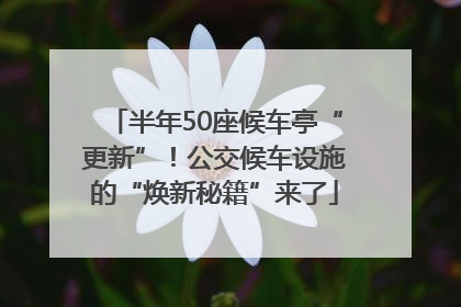 半年50座候车亭“更新”！公交候车设施的“焕新秘籍”来了