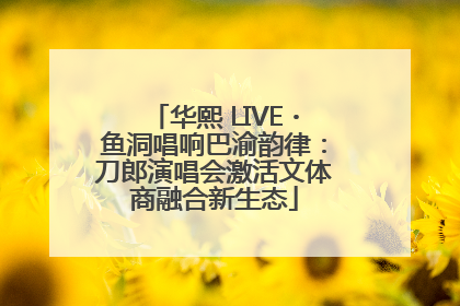 华熙 LIVE・鱼洞唱响巴渝韵律：刀郎演唱会激活文体商融合新生态