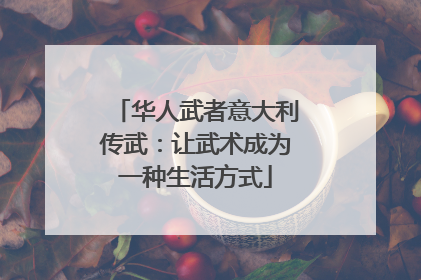 华人武者意大利传武：让武术成为一种生活方式