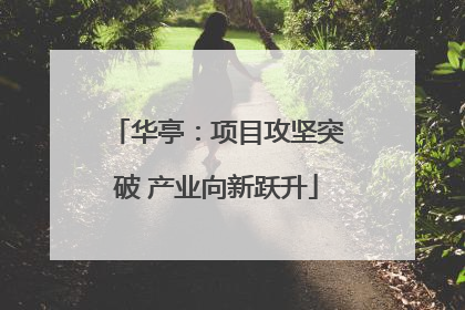 华亭：项目攻坚突破 产业向新跃升