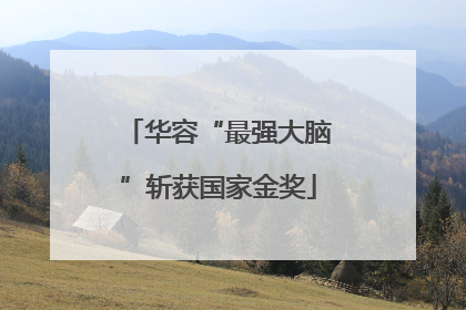 华容“最强大脑”斩获国家金奖