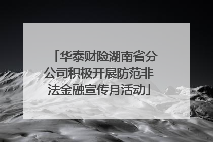 华泰财险湖南省分公司积极开展防范非法金融宣传月活动