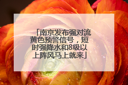 南京发布强对流黄色预警信号，短时强降水和8级以上阵风马上就来