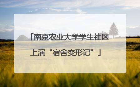 南京农业大学学生社区上演“宿舍变形记”