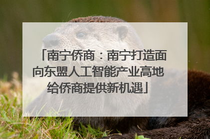 南宁侨商：南宁打造面向东盟人工智能产业高地给侨商提供新机遇