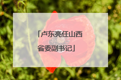 卢东亮任山西省委副书记