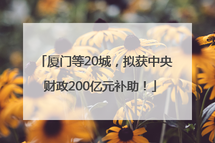 厦门等20城，拟获中央财政200亿元补助！