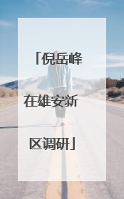 倪岳峰在雄安新区调研