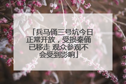 兵马俑三号坑今日正常开放,受损秦俑已移走 观众参观不会受到影响