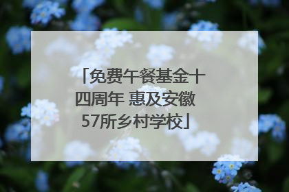 免费午餐基金十四周年 惠及安徽57所乡村学校