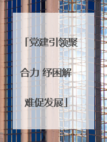 党建引领聚合力 纾困解难促发展
